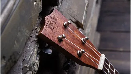 Flight NUS310 Укулеле.